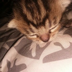 Meet your Posher, Shana